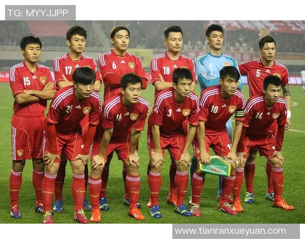 足球莽汉的激情与荣耀在绿茵场上绽放的故事与梦想